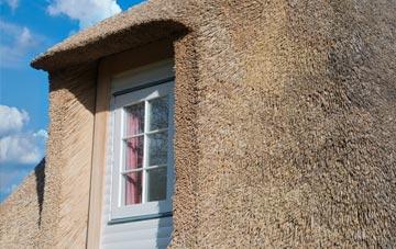 Onehouse thatch roof disadvantages