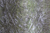 Onehouse fibreglass roof work